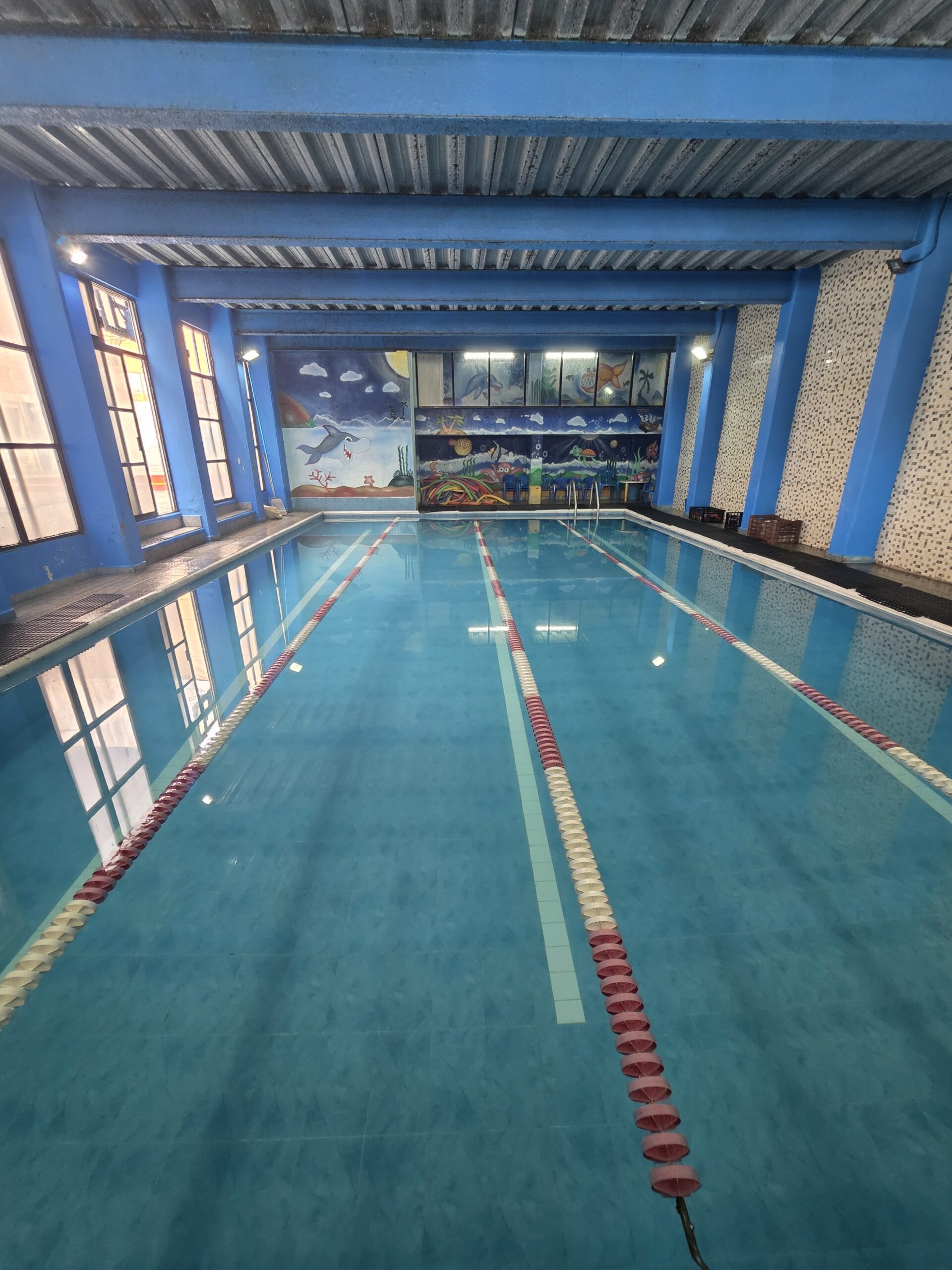 Alberca — clases de natación